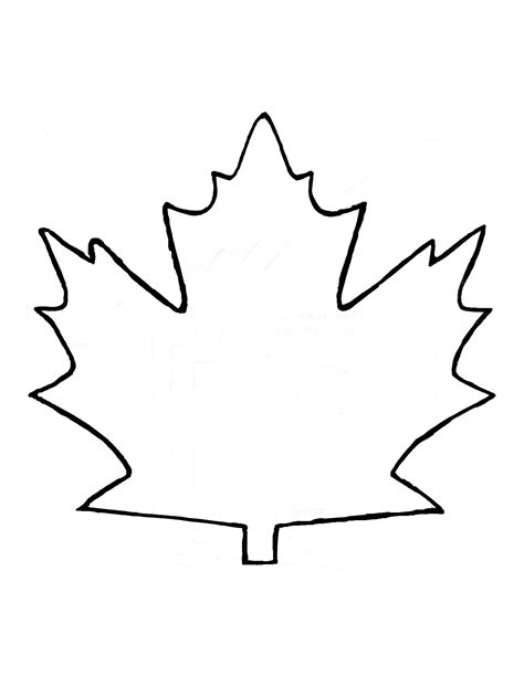 printable maple leaf outline|free printable leaf pattern.